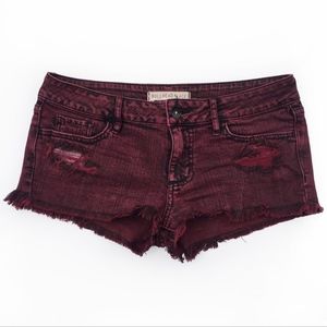 Bullhead Black Burgundy Cutoff Shorts size 3